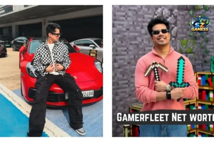Gamerfleet Net worth